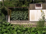 Walter 08.07.08-02.01.200903